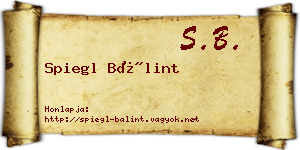 Spiegl Bálint névjegykártya